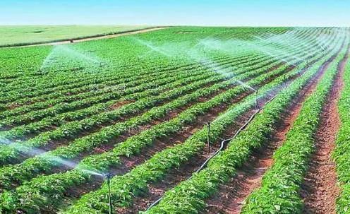 美女脱光衣服射精视频农田高 效节水灌溉